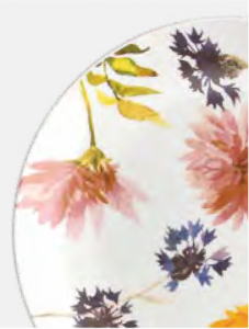 Virágos porcelán étkészlet, Tognana, Audrey, 18 részes