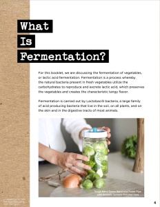 Fermenting guide and recipe book from Masontops.